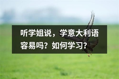 听学姐说,学意大利语容易吗?如何学习?