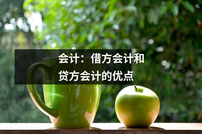 会计:借方会计和贷方会计的优点