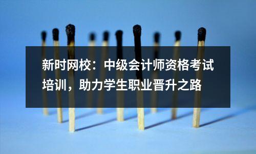新时网校:中级会计师资格考试培训,助力学生职业晋升之路