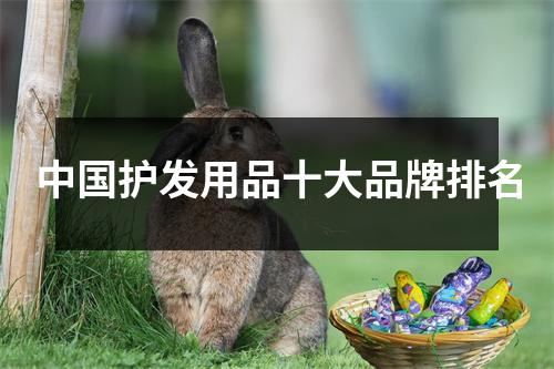 中国护发用品十大品牌排名