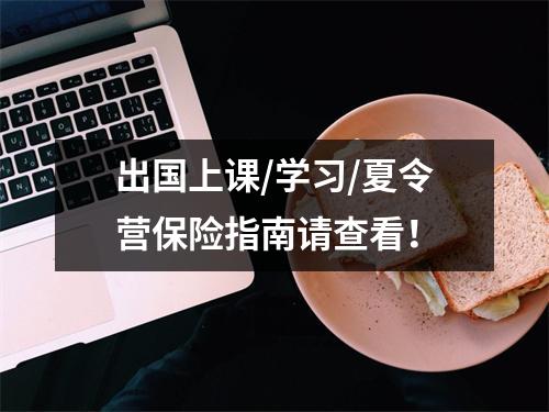 出国上课/学习/夏令营保险指南请查看!