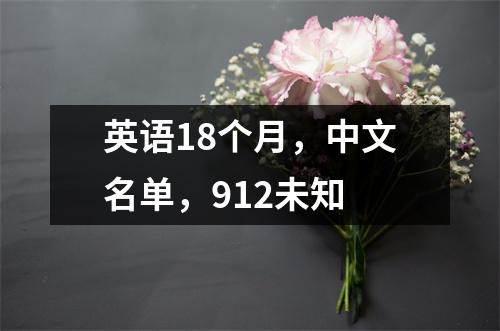 英语18个月,中文名单,912未知
