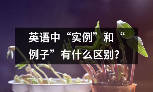 英语中“实例”和“例子”有什么区别?