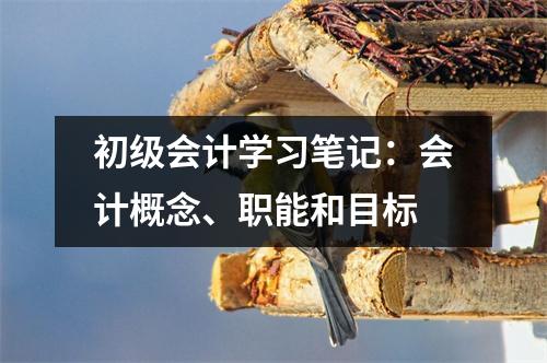 初级会计学习笔记:会计概念、职能和目标
