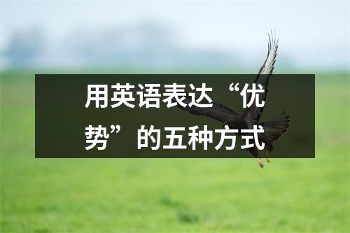 用英语表达“优势”的五种方式