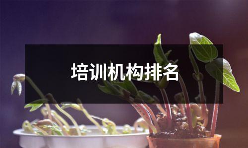 培训机构排名