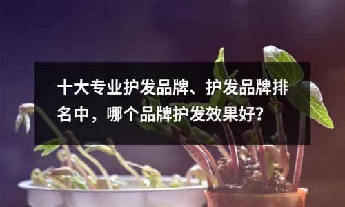 十大专业护发品牌、护发品牌排名中,哪个品牌护发效果好?