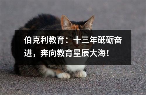 伯克利教育:十三年砥砺奋进,奔向教育星辰大海!