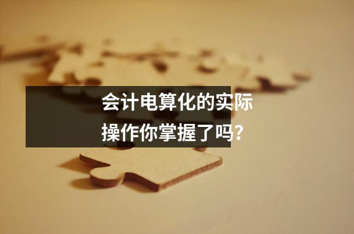会计电算化的实际操作你掌握了吗?