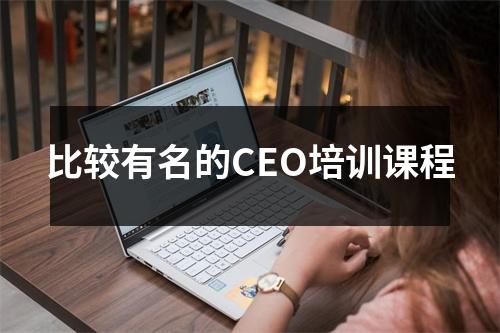 比较有名的CEO培训课程
