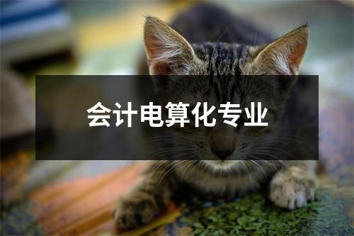 会计电算化专业