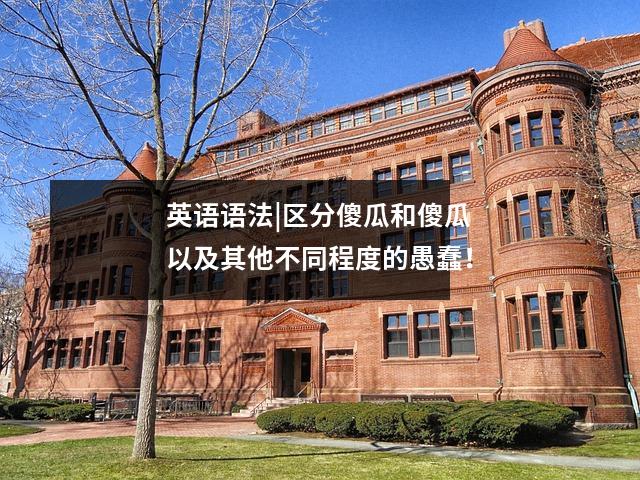 英语语法|区分傻瓜和傻瓜以及其他不同程度的愚蠢!