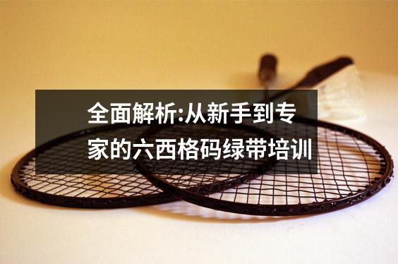 全面解析:从新手到专家的六西格码绿带培训