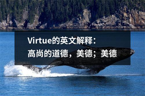 Virtue的英文解释:高尚的道德,美德;美德