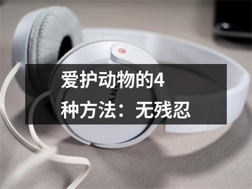 爱护动物的4 种方法:无残忍