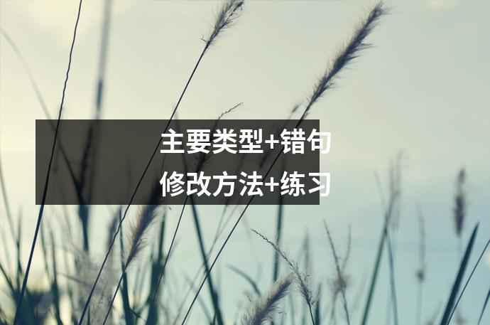 主要类型+错句修改方法+练习