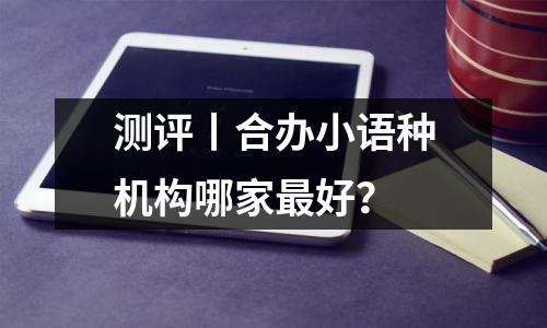 测评丨合办小语种机构哪家最好?