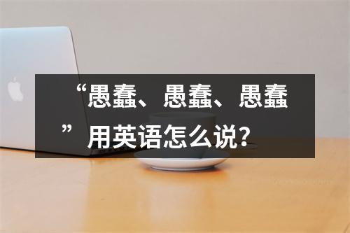 “愚蠢、愚蠢、愚蠢”用英语怎么说?