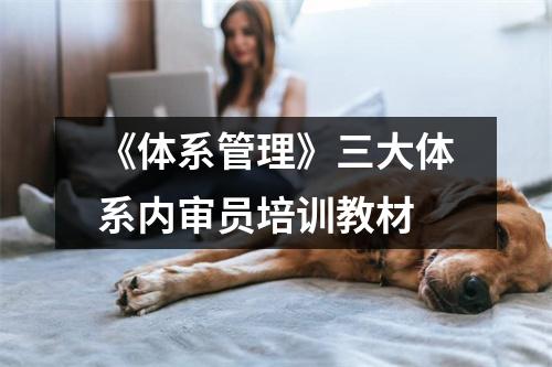 《体系管理》三大体系内审员培训教材