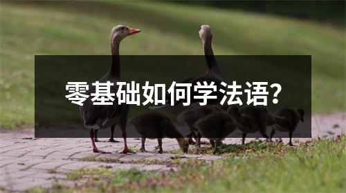 零基础如何学法语?