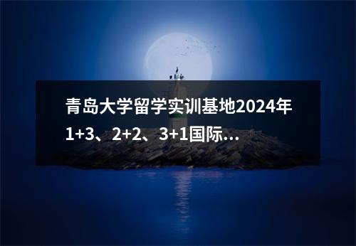 青岛大学留学实训基地2024年1+3、2+2、3+1国际本科招生信息
