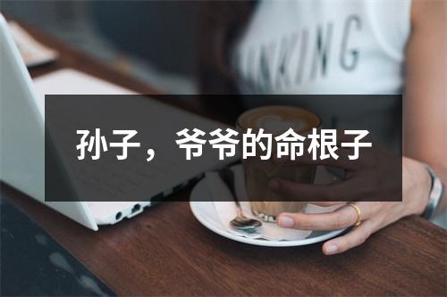 孙子,爷爷的命根子