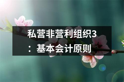私营非营利组织3:基本会计原则