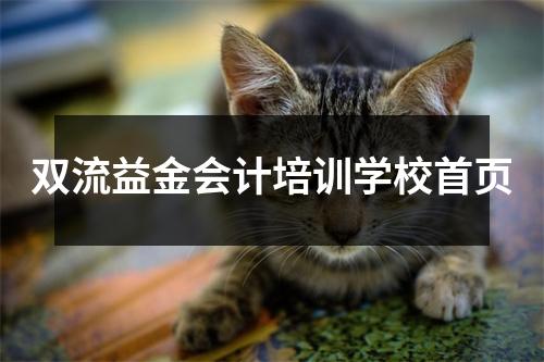 双流益金会计培训学校首页