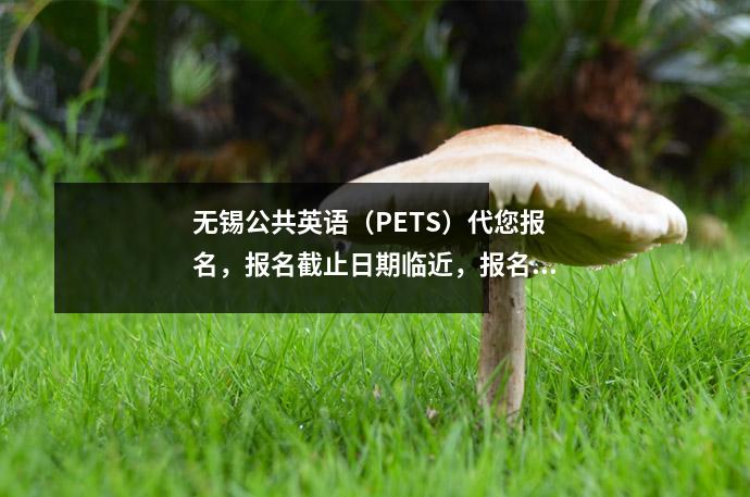 无锡公共英语(PETS)代您报名,报名截止日期临近,报名进行中!