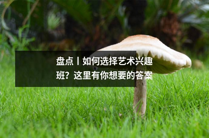 盘点丨如何选择艺术兴趣班?这里有你想要的答案