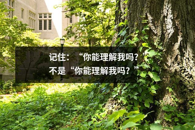 记住:“你能理解我吗?”不是“你能理解我吗?”