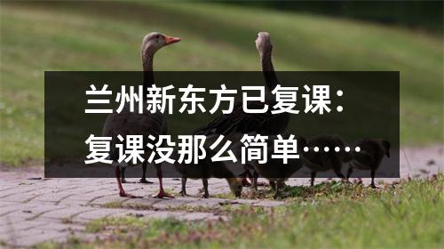 兰州新东方已复课:复课没那么简单……