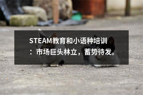 STEAM教育和小语种培训:市场巨头林立,蓄势待发。