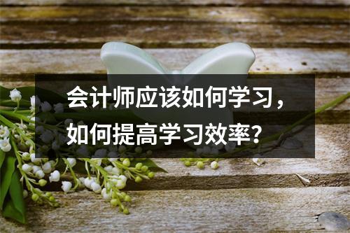会计师应该如何学习,如何提高学习效率?