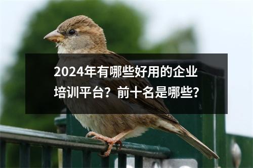 2024年有哪些好用的企业培训平台?前十名是哪些?
