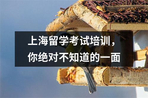 上海留学考试培训,你绝对不知道的一面