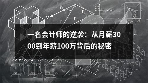 一名会计师的逆袭:从月薪3000到年薪100万背后的秘密
