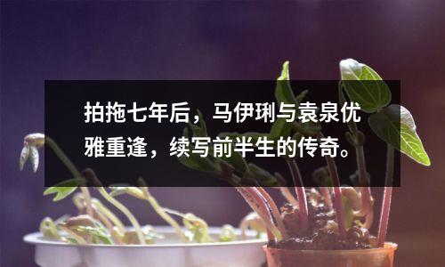 拍拖七年后,马伊琍与袁泉优雅重逢,续写前半生的传奇。
