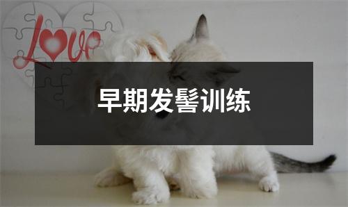 早期发髻训练
