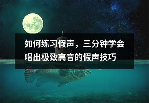 如何练习假声,三分钟学会唱出极致高音的假声技巧