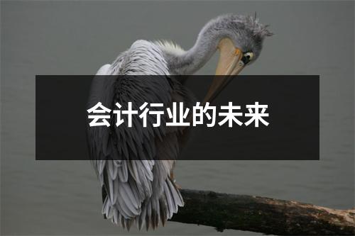 会计行业的未来