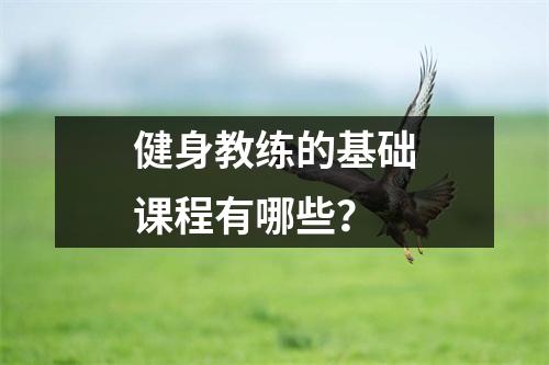 健身教练的基础课程有哪些?