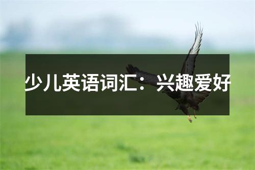少儿英语词汇:兴趣爱好