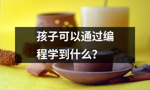 孩子可以通过编程学到什么?