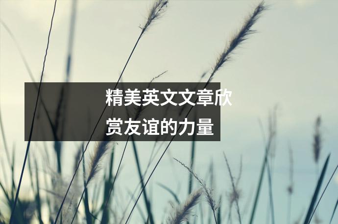 精美英文文章欣赏友谊的力量