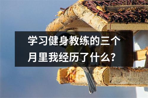 学习健身教练的三个月里我经历了什么?