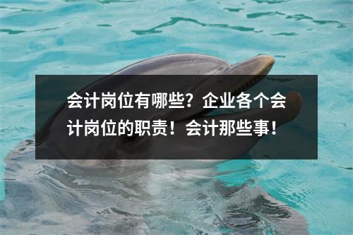 会计岗位有哪些?企业各个会计岗位的职责!会计那些事!
