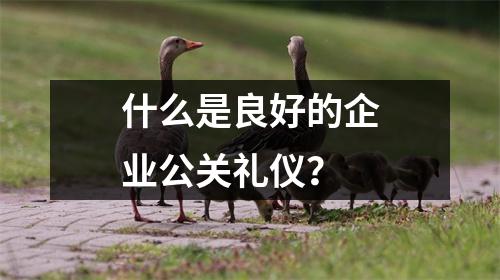 什么是良好的企业公关礼仪?