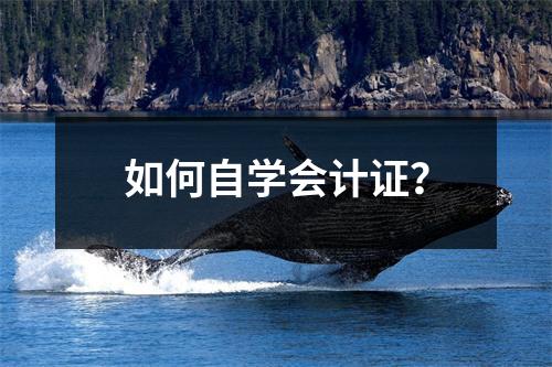 如何自学会计证?