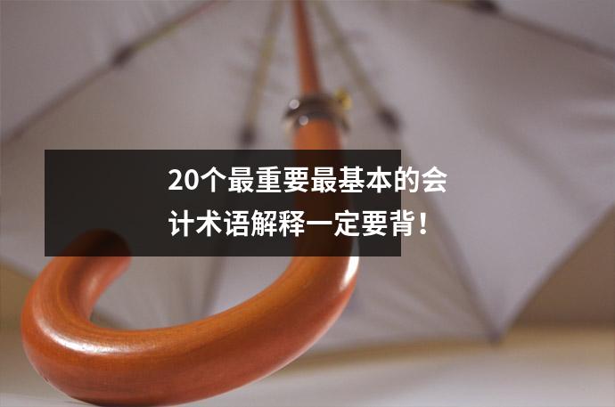 20个最重要最基本的会计术语解释一定要背!